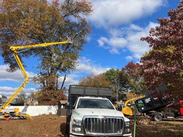 CT Tree Work truck, aerial lift and chipper on a fall tree removal job