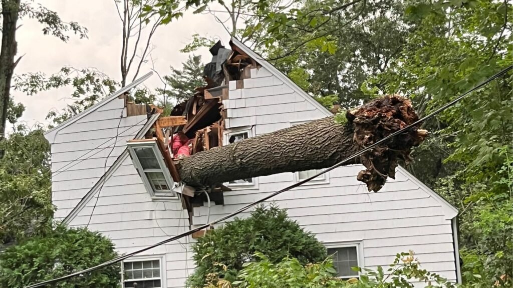 Large tree trunk fallen through the roof of a house after a storm