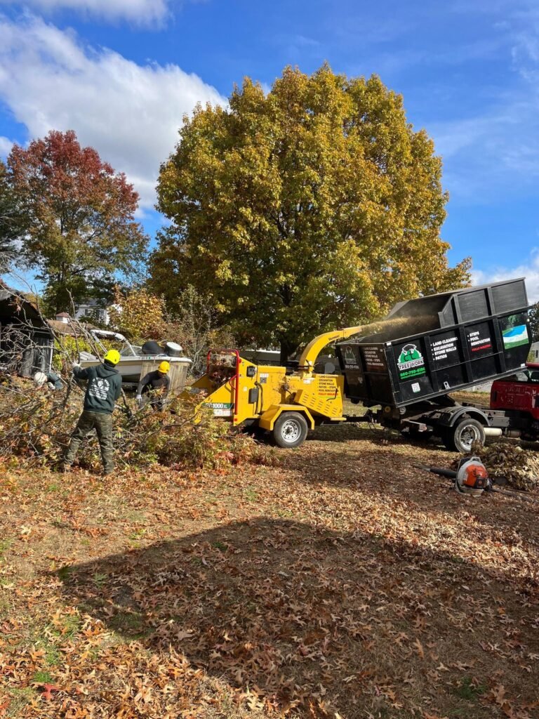Tree crew feeding branches into a wood chipper and dump trailer during yard cleanup