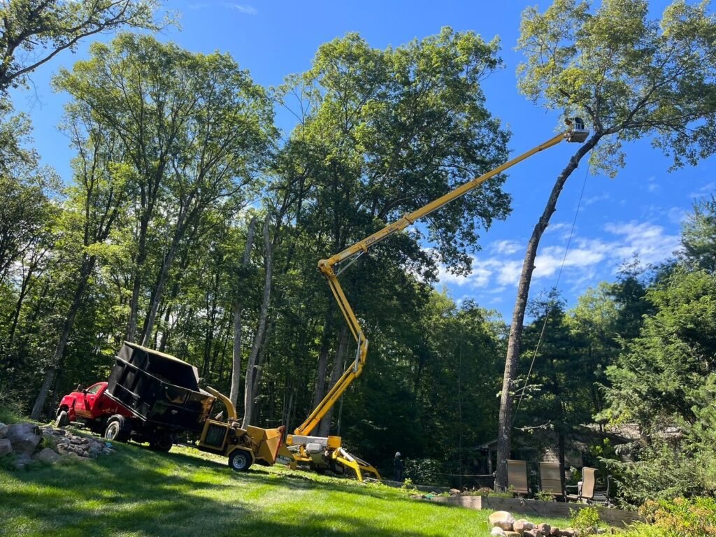Aerial lift reaching a tall tree during a residential tree removal in Connecticut
