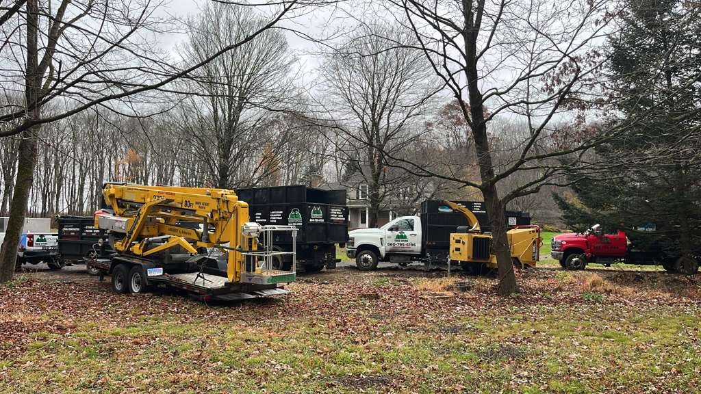 Tracked aerial lift, trucks and dump trailers set up for a tree removal job in a wooded yard